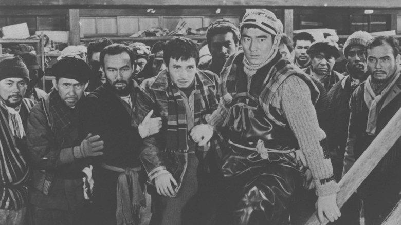 Jakoman and Tetsu image
