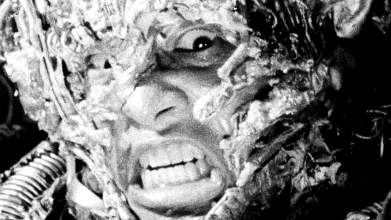 Tetsuo: The Iron Man image