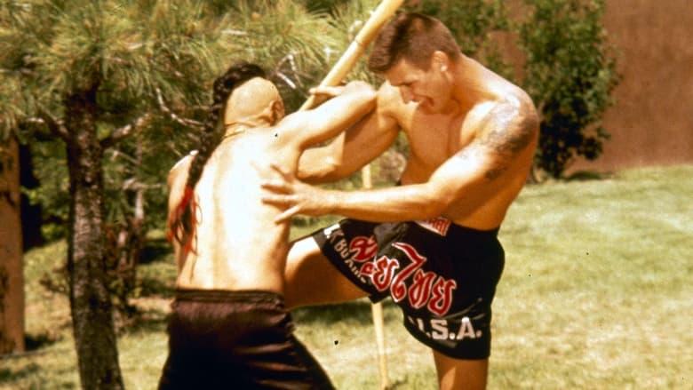 Kickboxer 4: The Aggressor image