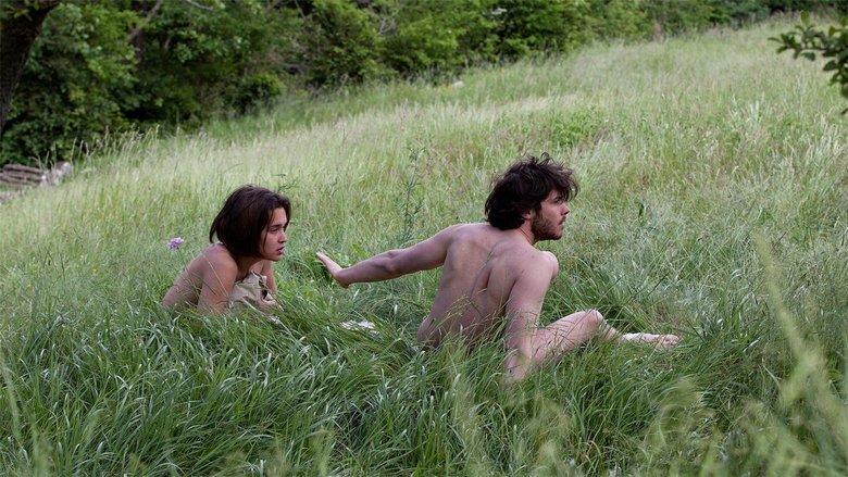 Metamorphoses image