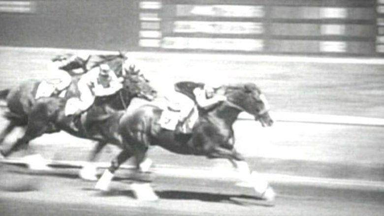 Hollywood Handicap image