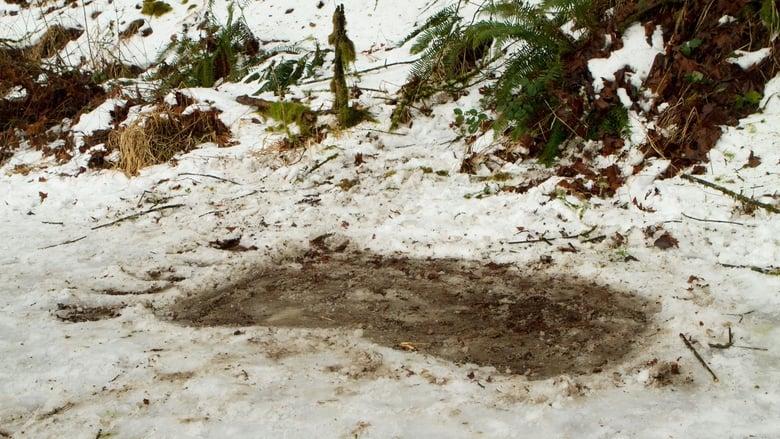 Bigfoot image
