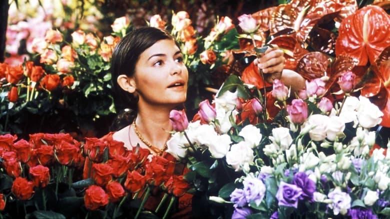 He Loves Me… He Loves Me Not image