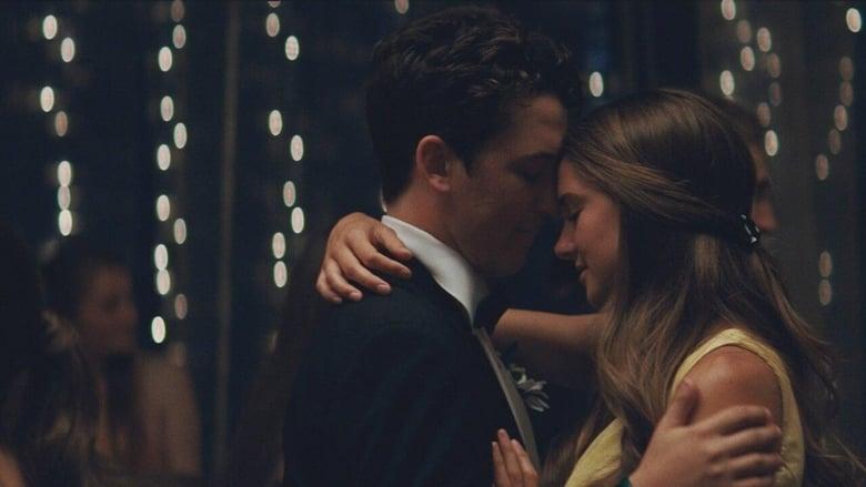 The Spectacular Now image