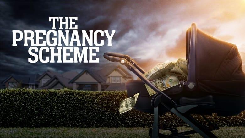 The Pregnancy Scheme image