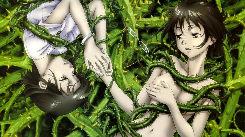 King of Thorn image