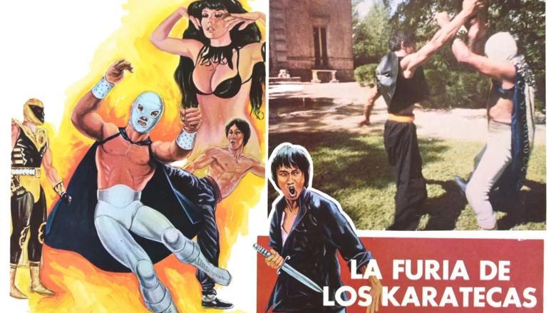 The Fury of the Karate Experts image