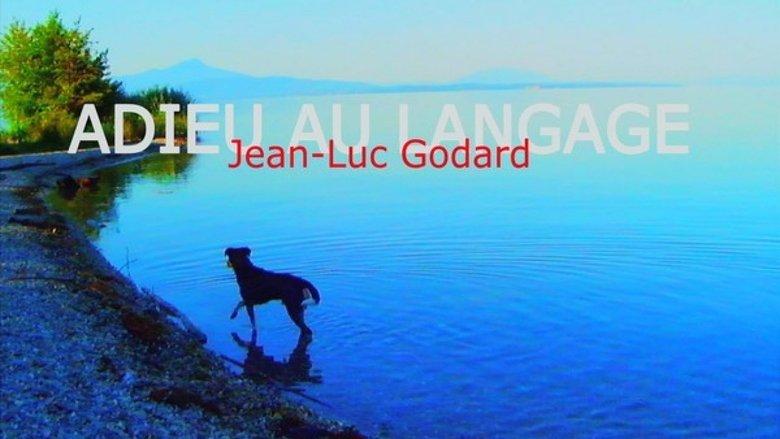 Goodbye to Language image