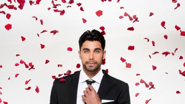 The bachelor greek image