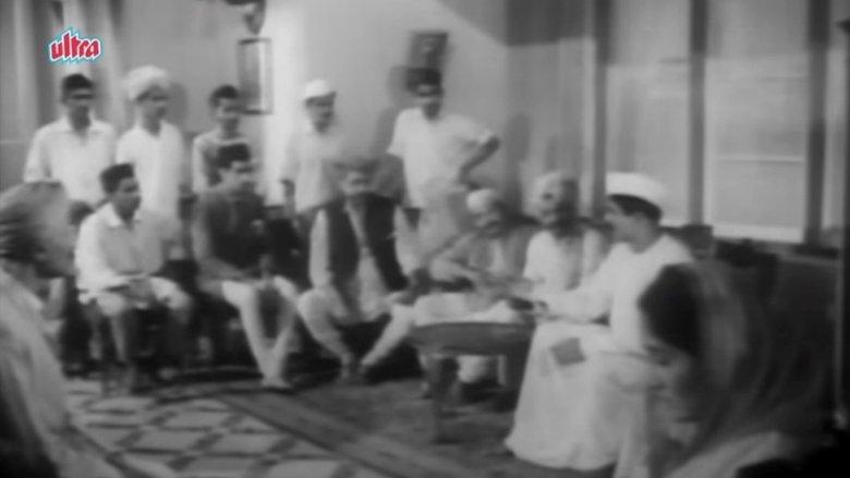 Shevatcha Malusara image