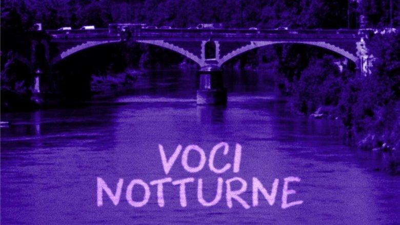 Night Voices image