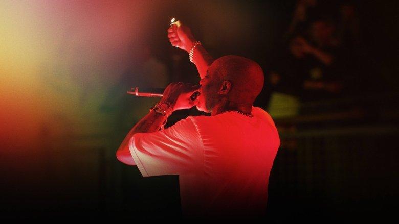 DMX: Don't Try to Understand image