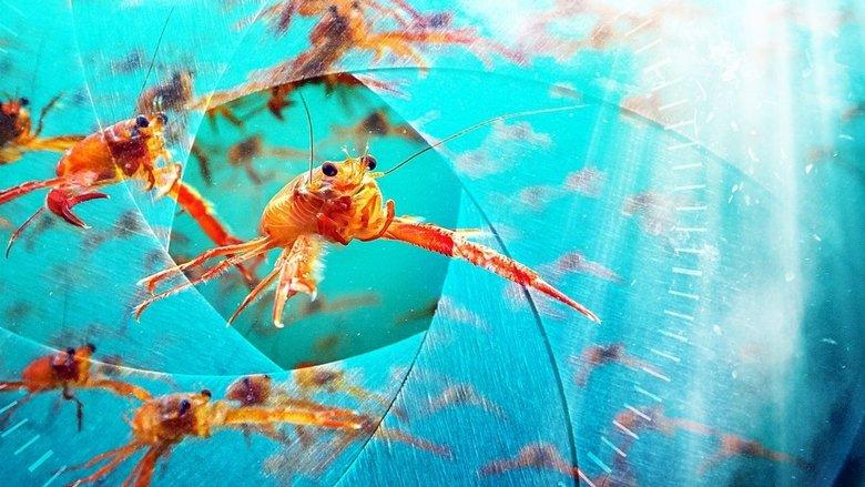 Spy in the Ocean, A Nature Miniseries image