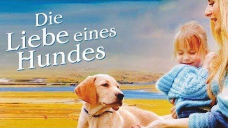 More Than Puppy Love image