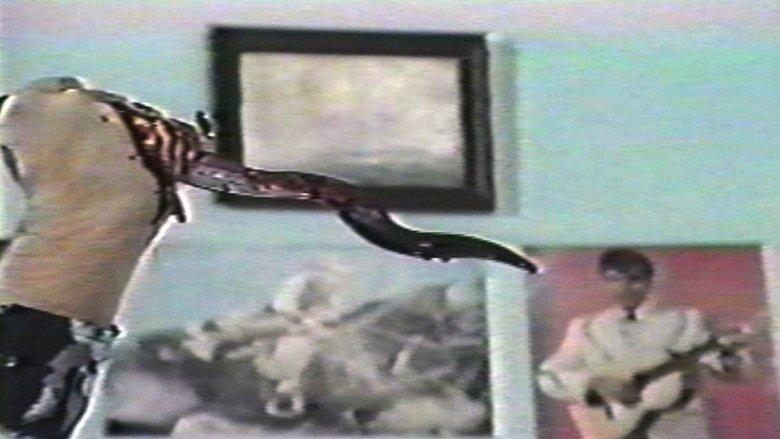 555 image
