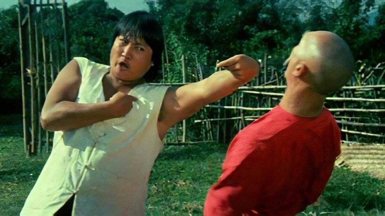 The Incredible Kung Fu Master image