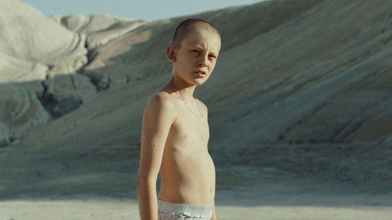 Fauve image