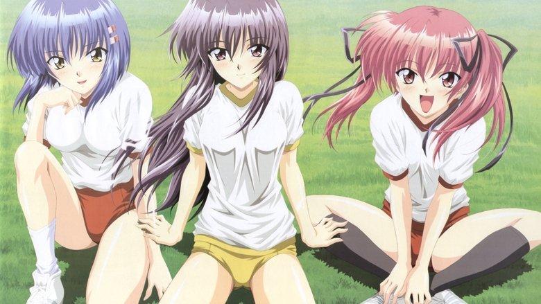 Tsuyokiss image