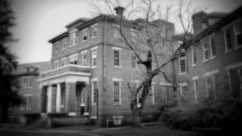 Crownsville Hospital: From Lunacy to Legacy image