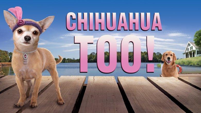 Chihuahua too! image