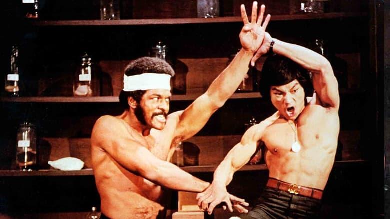 Kung Fu Fever image