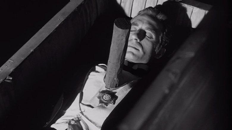 The Vampire's Coffin image