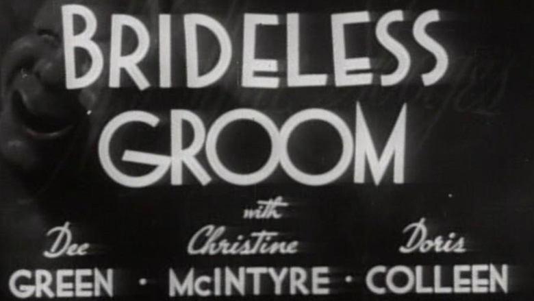 Brideless Groom image