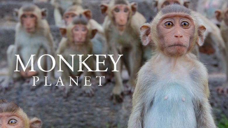Monkey Planet image
