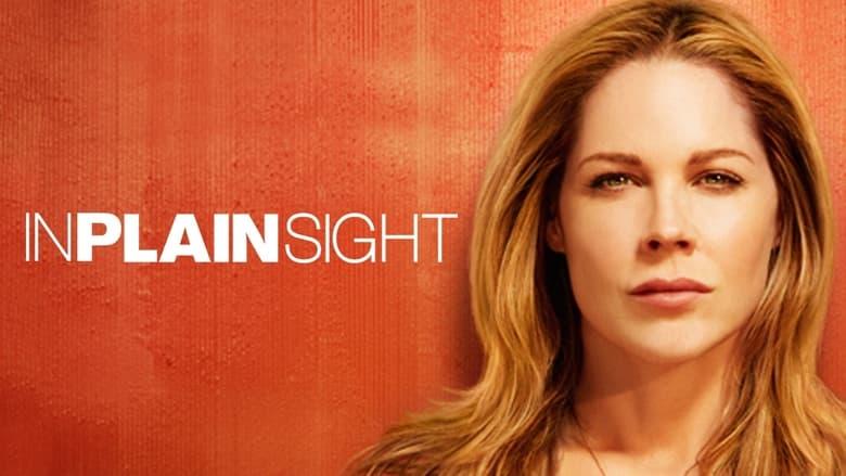 In Plain Sight image