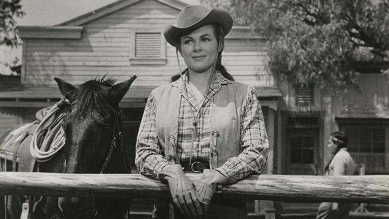The Oklahoman image