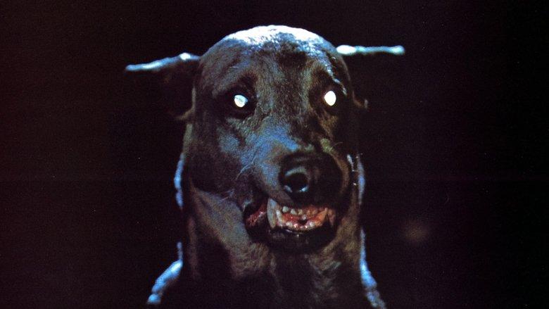 Dracula's Dog image