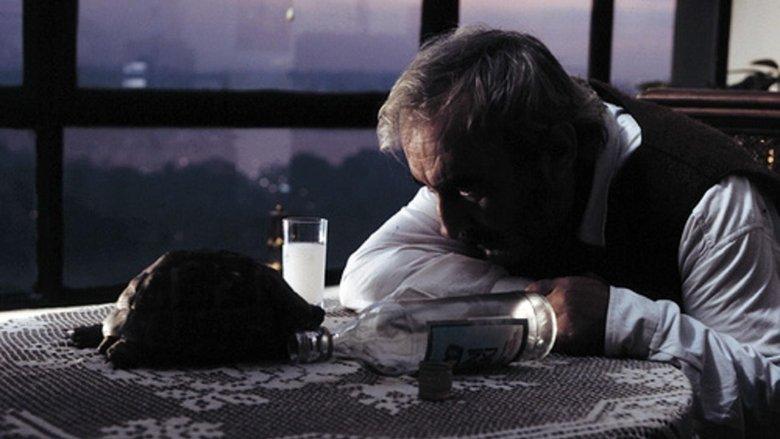 The Unforgettable Director of Romantic Movies image