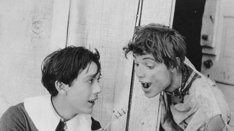 Tom Sawyer image