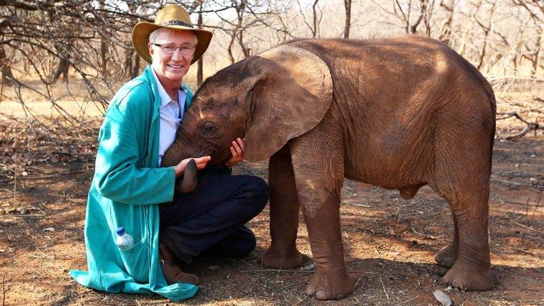 Paul O'Grady's Animal Orphans image