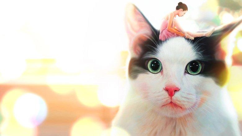 Hello, My Cat image