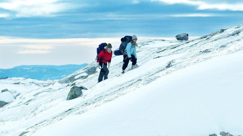 The Mountain image