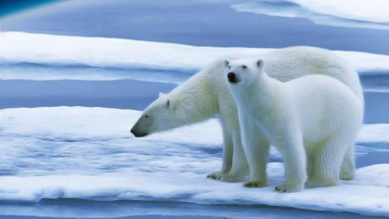 Planet Earth: The Future image