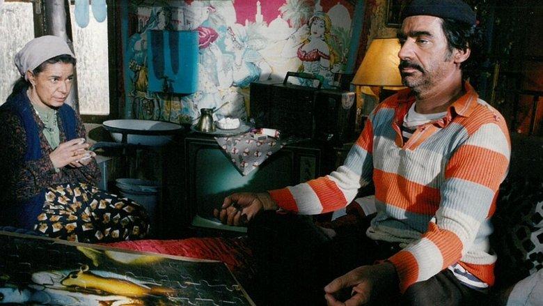 Gipsy Magic image