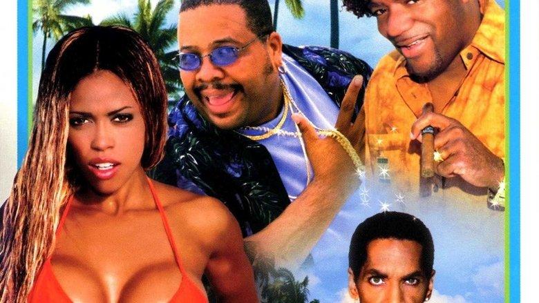 The Bahama Hustle image
