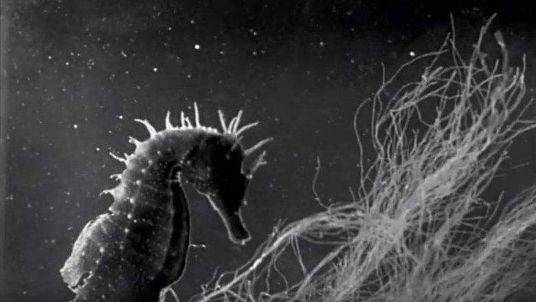 Science Is Fiction: The Films of Jean Painlevé image