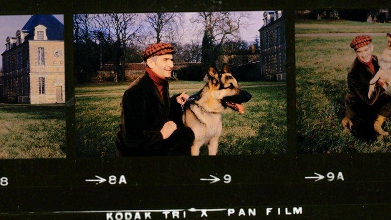 La Folle Aventure de Louis de Funès image