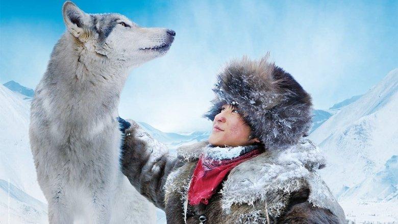 Loup image