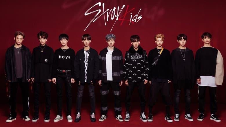 Stray Kids image