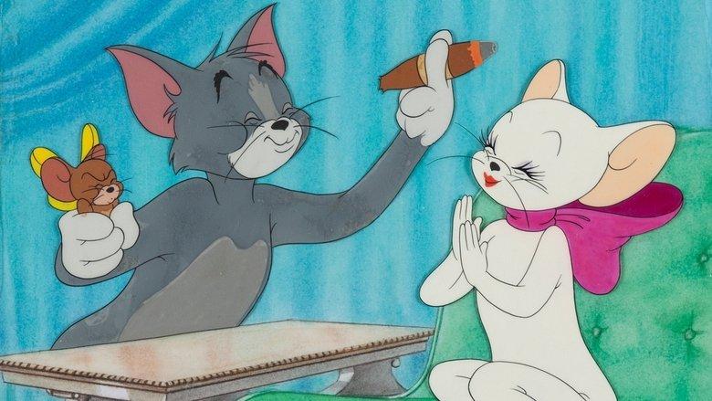 Casanova Cat image