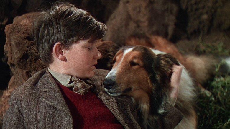 Lassie Come Home image