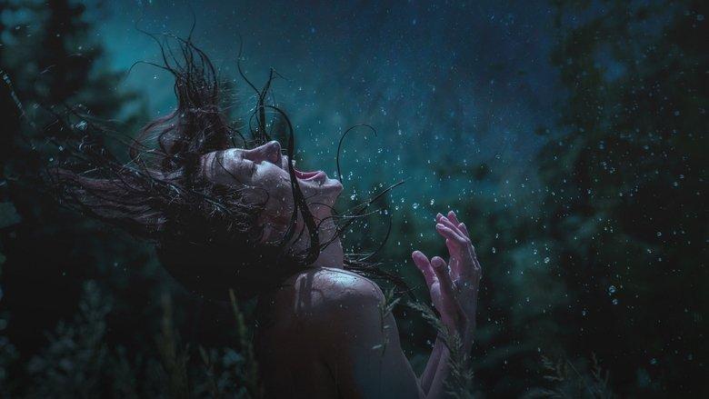 Nightsiren image