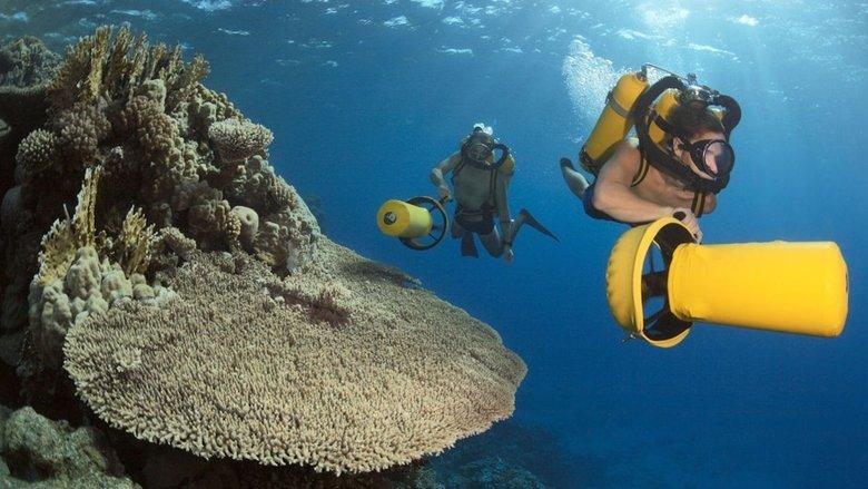 Jacques Cousteau's Legacy – Return to the Undersea World image