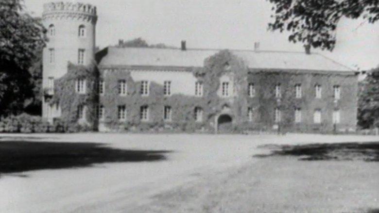 Lille Lord Fauntleroy image