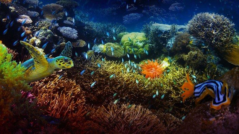 The Last Reef: Cities Beneath the Sea image