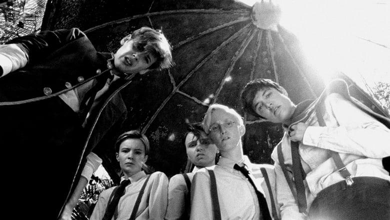 The Wild Boys image